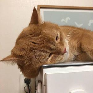 女人又爽❌又黄❌v999
